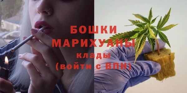 индика Верея