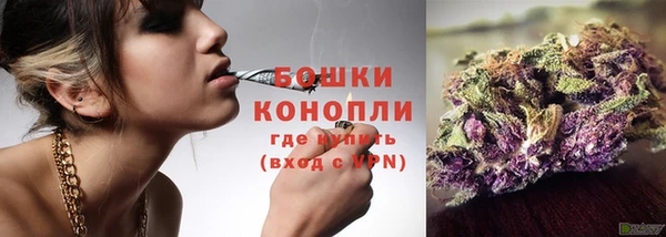 бошки Бронницы