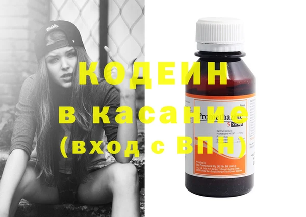 индика Верея