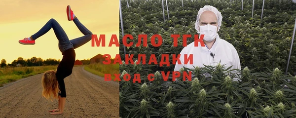 индика Верея