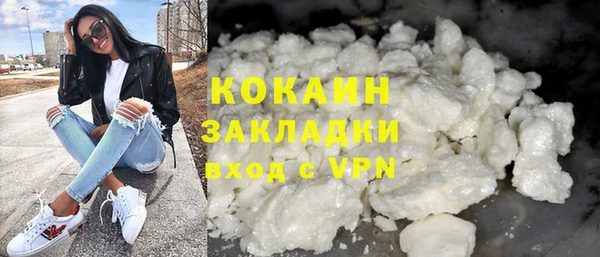 индика Верея
