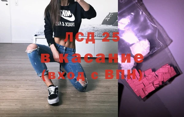 индика Верея