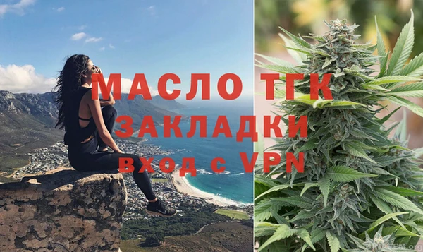 индика Верея