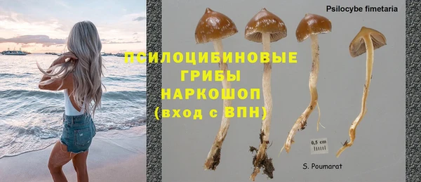 мяу мяу мука Бугульма